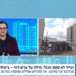 מיכל פיין