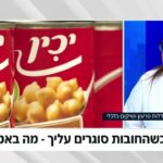 מעיין דקל